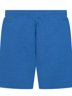 Fleece Shorts with Bear Print