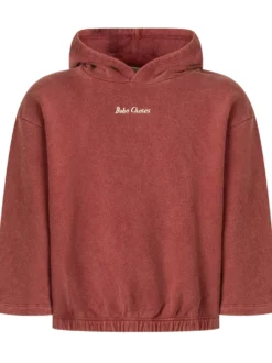 Hooded Sweatshirt with Logo