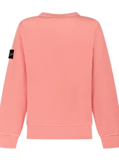 Long-Sleeve Crew-Neck Sweatshirt