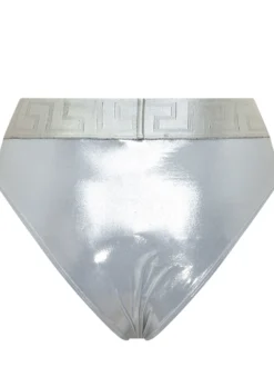 Metallic Lycra Bikini Bottom