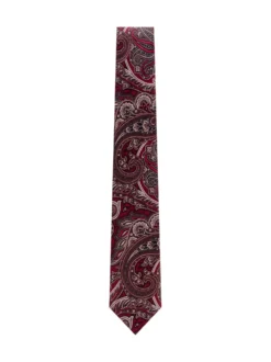 Paisley Pattern Tie