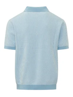 Pinstripe Polo Shirt