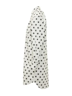 Polka Dot Shirt Dress