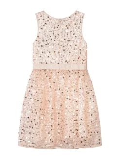 Sleeveless Sequin Dress