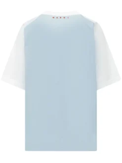 V-Neck T-Shirt with Graphic Panel